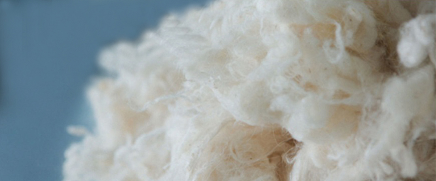 La laine cachemire, origine et entretien