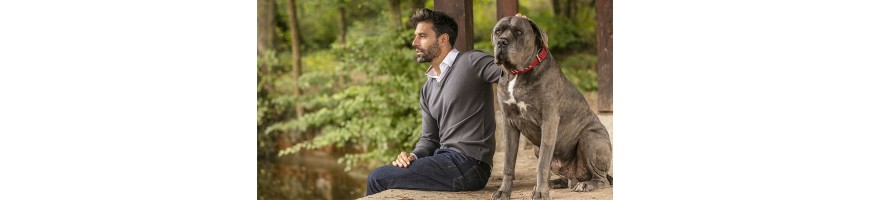 homme assis qui fait des carresses à un chien