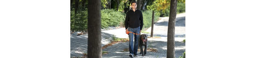 homme qui porte un gilet en cachemire et qui promène un chien